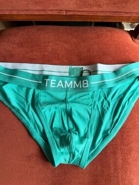 TEAMM8 Men's Icon Sport Brief in Patina